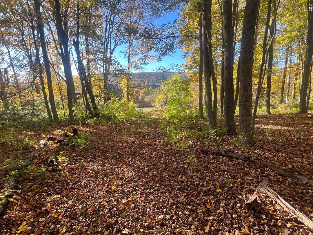 Tucked along one of Kent's most admired country roads, this rare 40 acre offering presents an exceptional opportunity to create a private retreat in one of Litchfield County's most prestigious ...