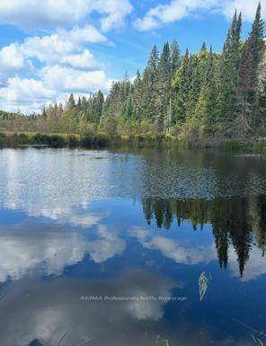 Complete privacy on 200 acres of prime woodlands with plenty of hardwood, in the beautiful Almaguin Highlands.
