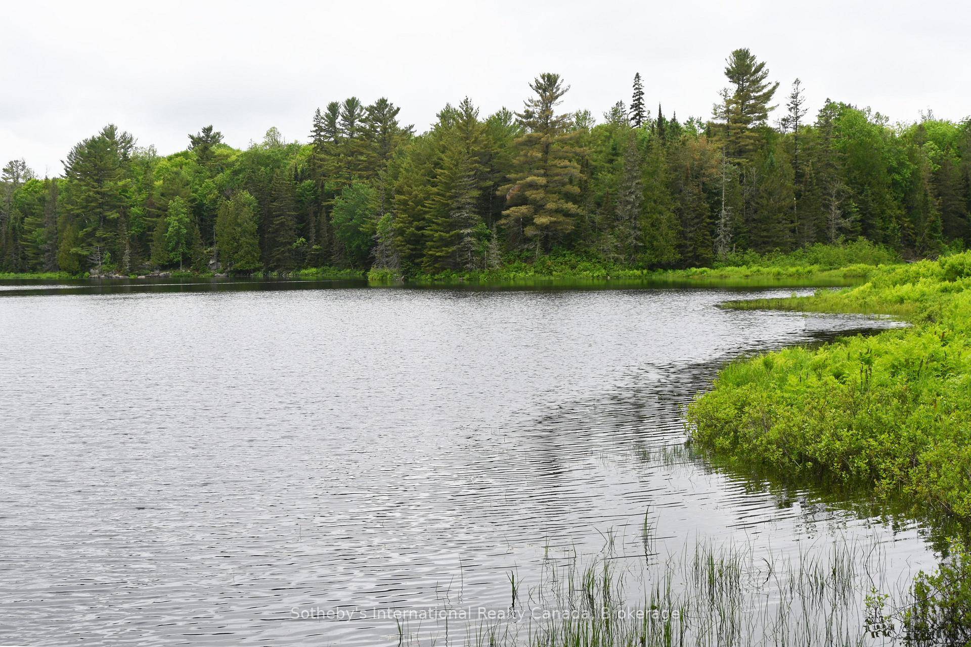 Tranquility on Ruebottom Lake !