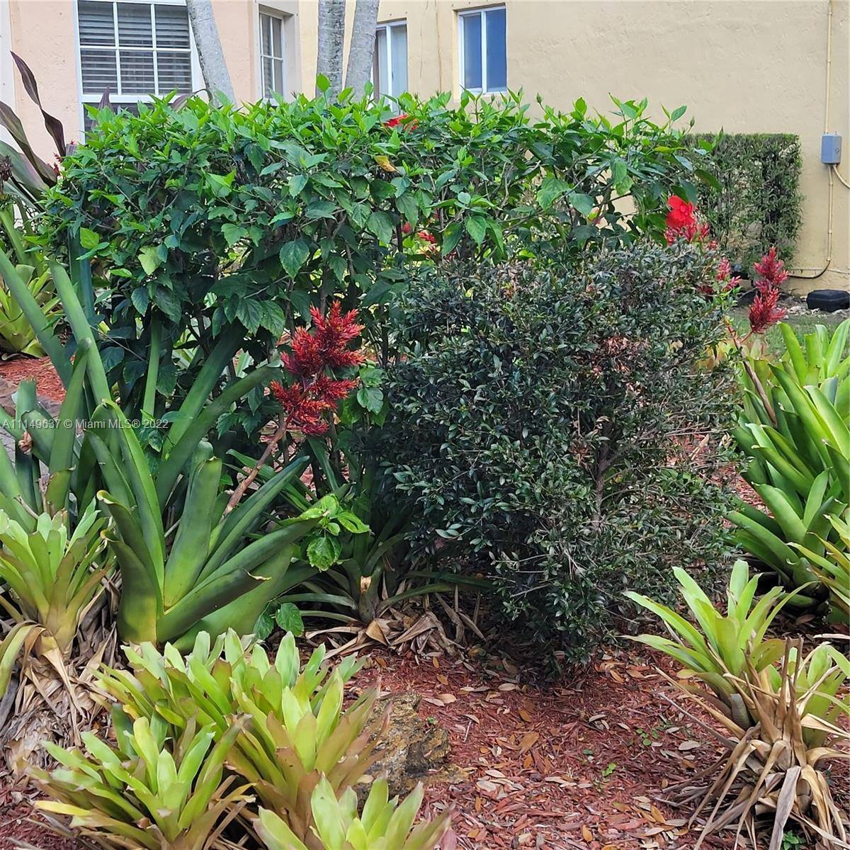 Beautiful well appointed Assisted Living Facility Residential Care Home located in Broward County in the beautiful city of Miramar.
