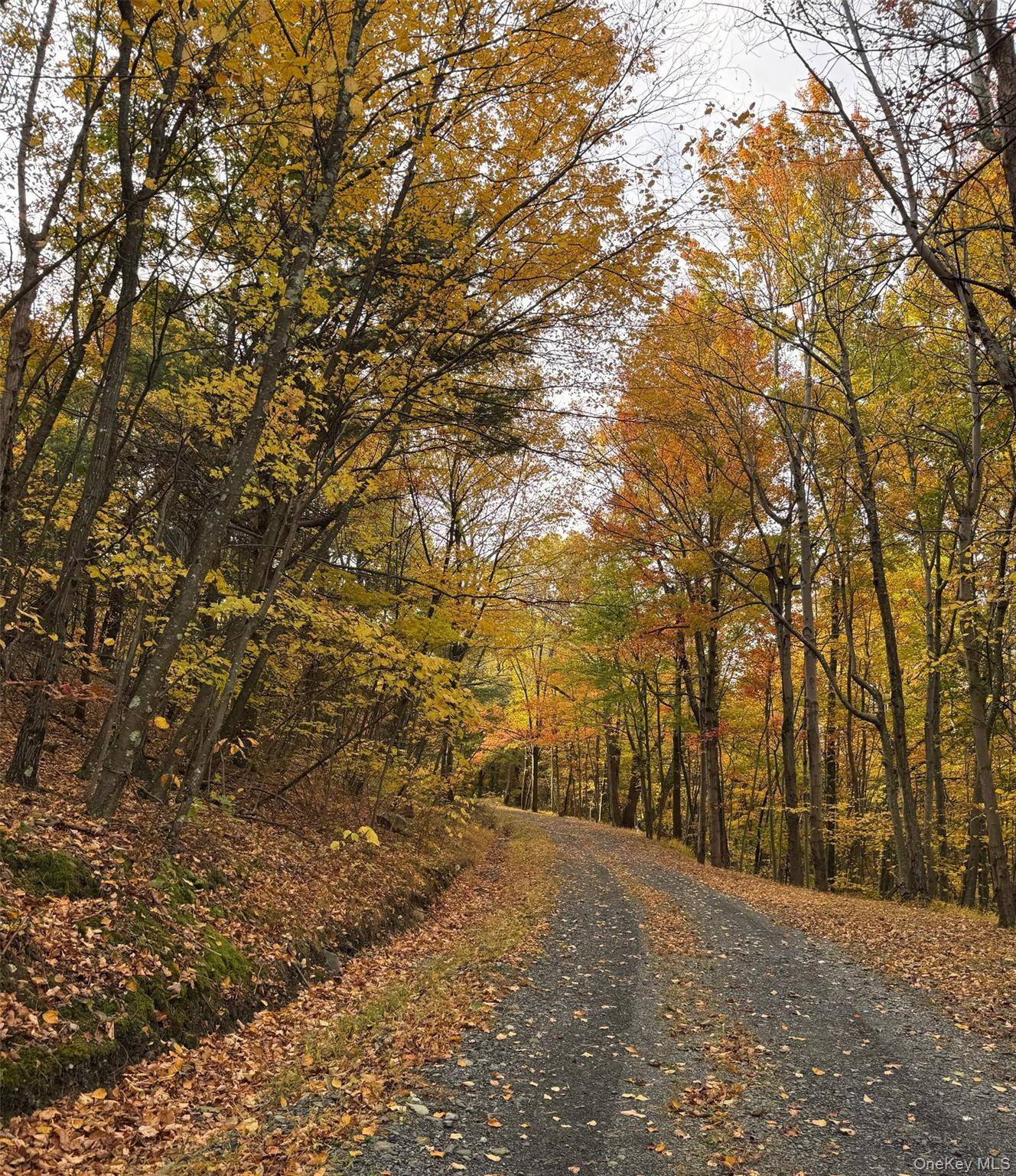 This beautiful and unique 10 acre subdividable private property is a must see !