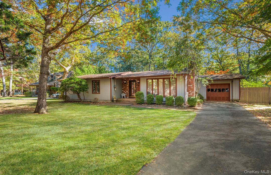 Here's the story... of a lovely lady.