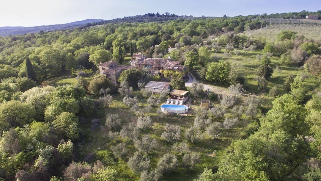 On sale restored antique house in Tuscany with garden near Rigomagno with olive grove. Farmhouse divided into two apartments near Siena