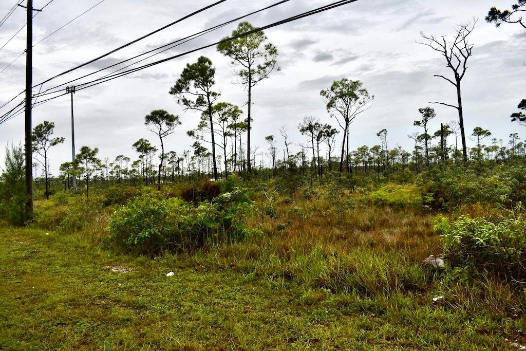 LINCOLN PARK LOT Land Grand-Bahama-Freeport