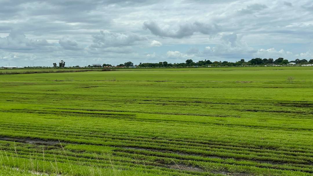 Attention Investors ! ! Vacant land with a 4000 sq ft shop.