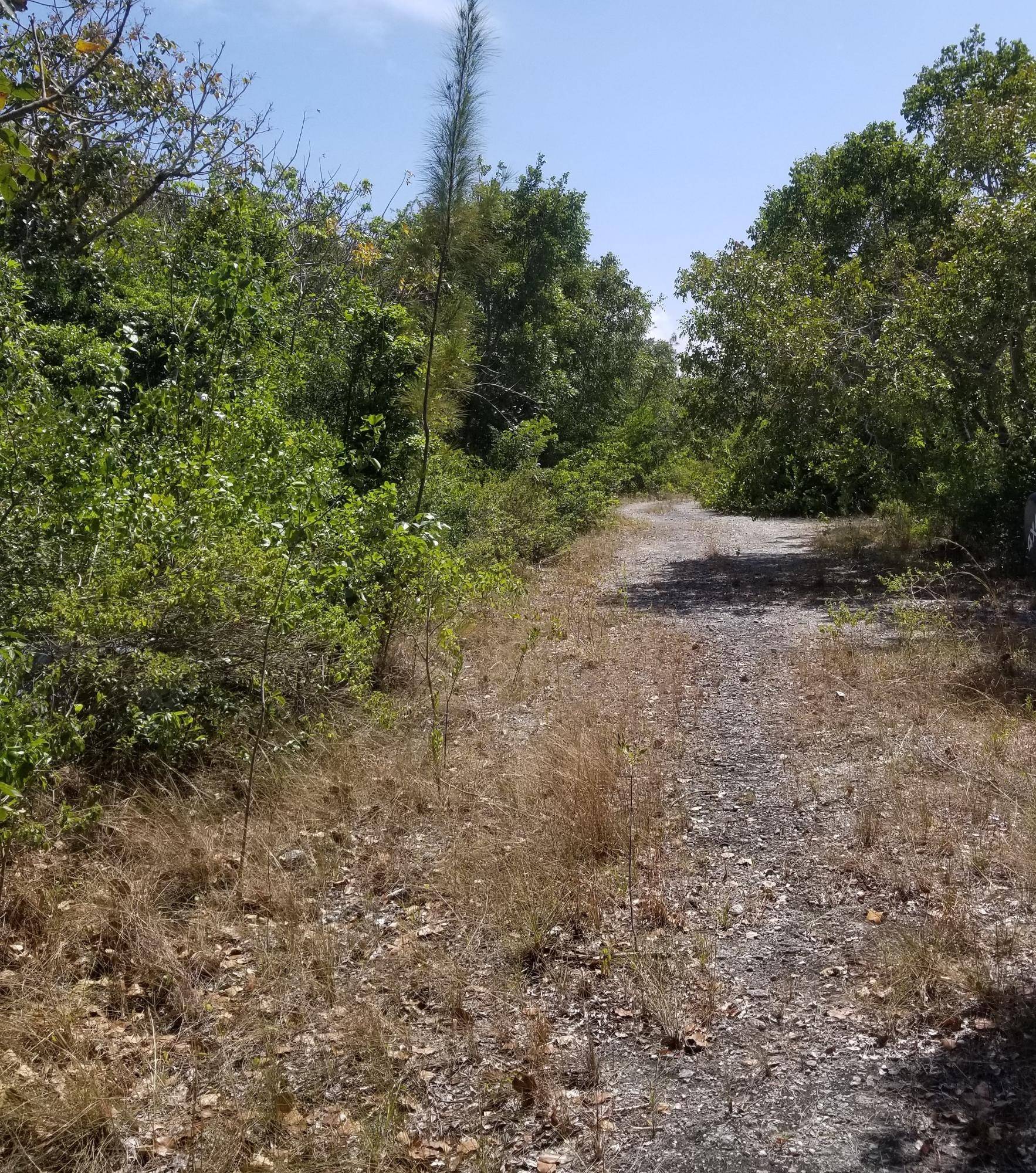 BAHAMA PALM SHORES Land Abaco