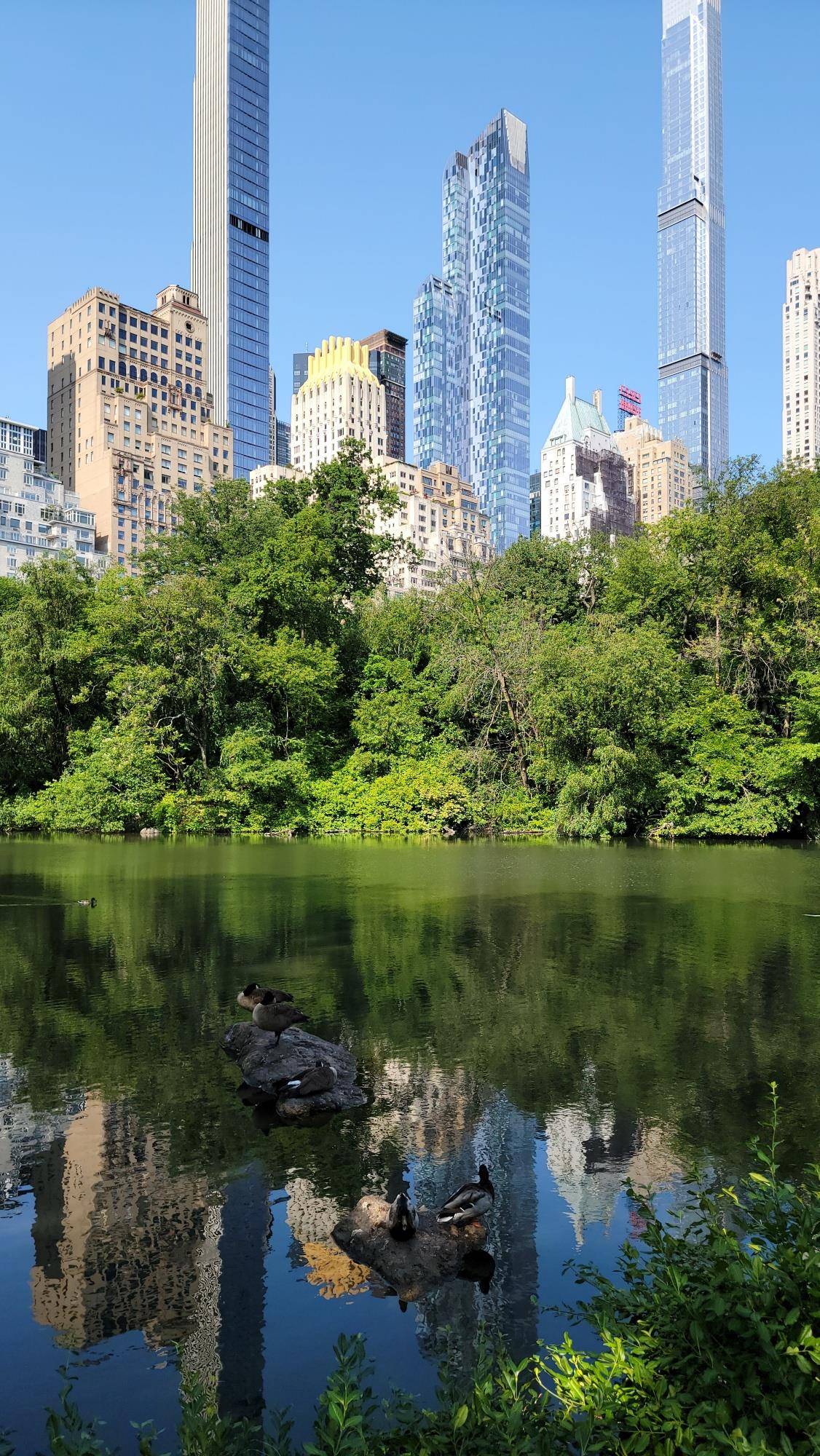 The Apartment Available for Feb 1st move in Amazing location nestled between Central Park and Lincoln Center Outstanding Market Value A Place that Feels Like HOME Southern Exposure Cable and ...