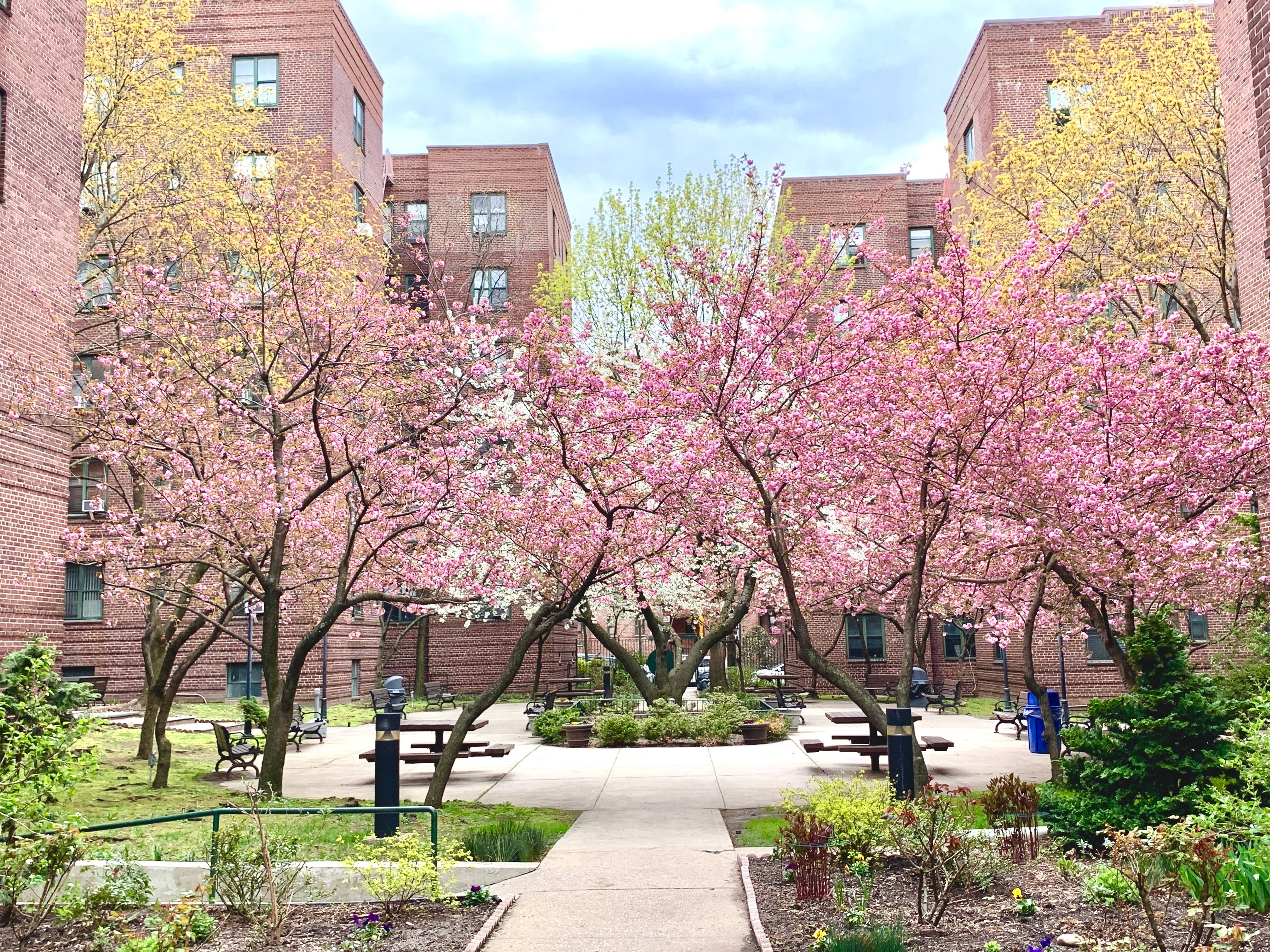 If you re looking for a sunny, pet friendly one bedroom one bathroom apartment to call home in vibrant Jackson Heights, you ve found it !