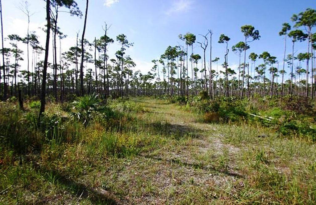 LUCAYA ESTATES Land Grand-Bahama-Freeport