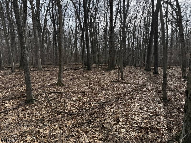 Exceptional opportunity to build your dream home in desirable Chester Township !