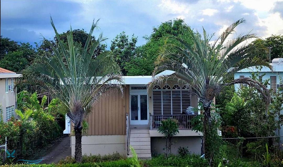 CALLE CRISANTEMO House Bayamon