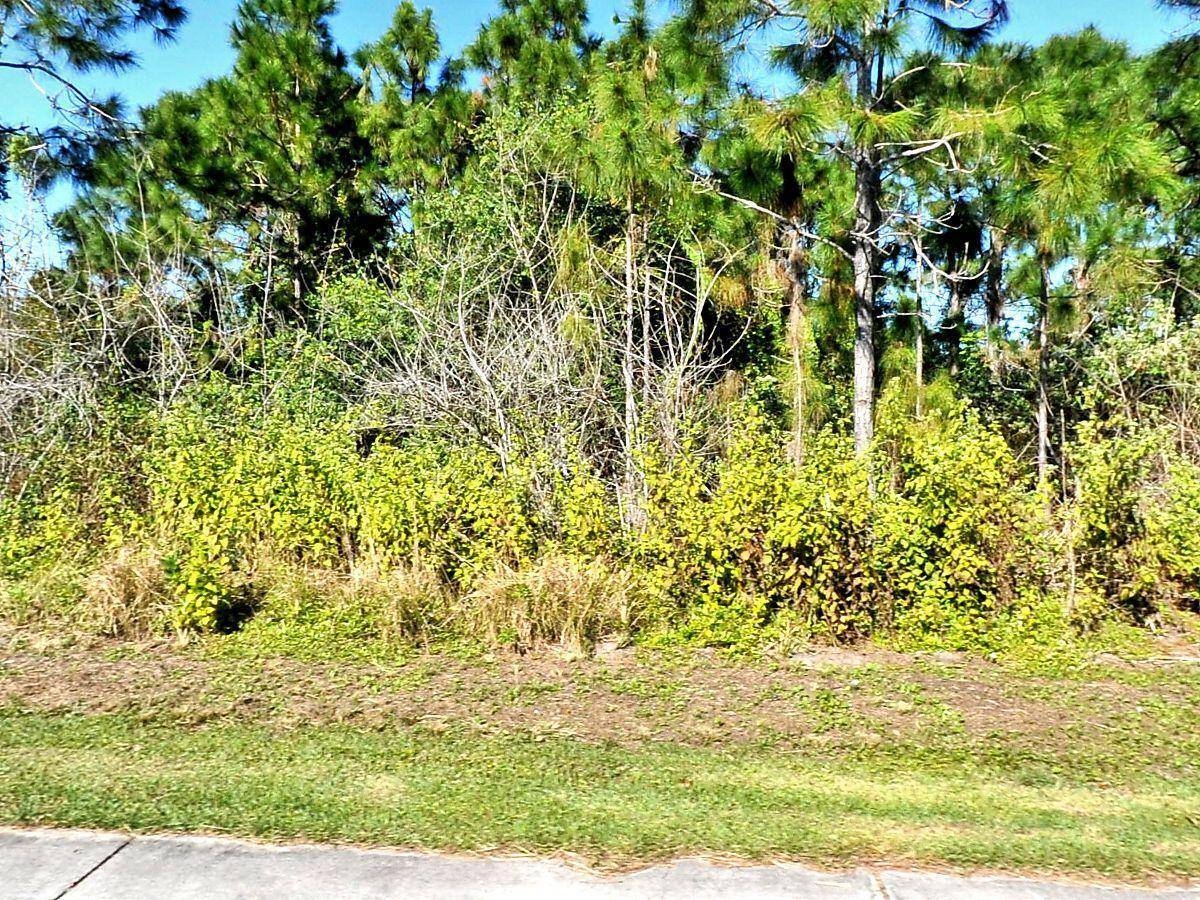 Build your dream home on this spacious vacant lot.