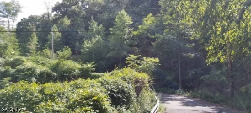 Situated high on the Mountain with views of NYC bridges and the valley.