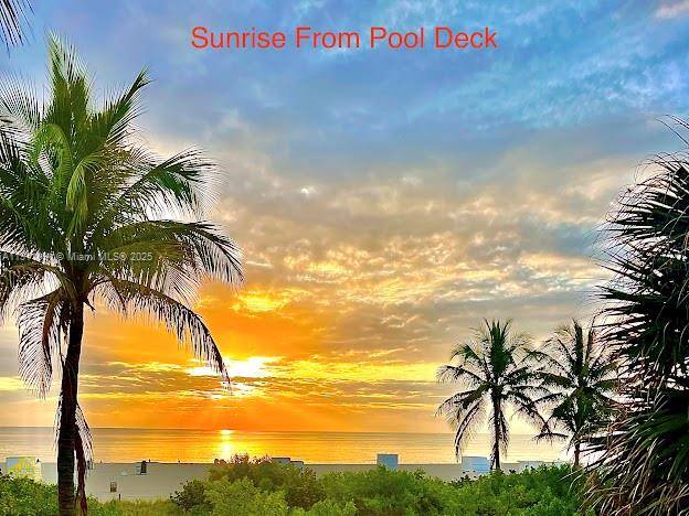 Direct Oceanfront Fully Renovated Large Studio Prime Beach Access Private balcony with unobstructed ocean views Turnkey fully Furnished Heated infinity edge pool steps from the sand sundeck ; Modern kitchen ...