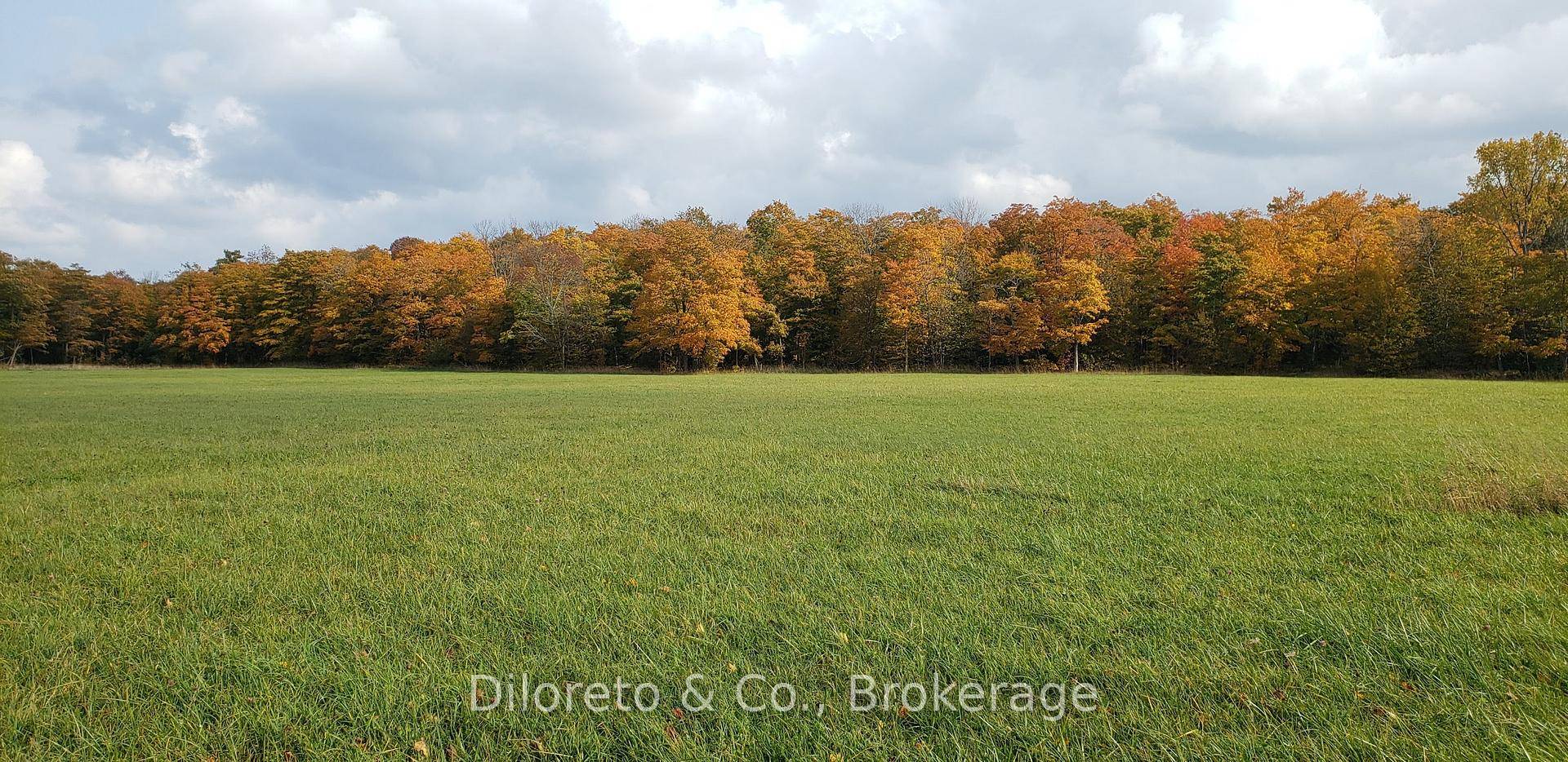 Discover your slice of paradise on this remarkable 19.
