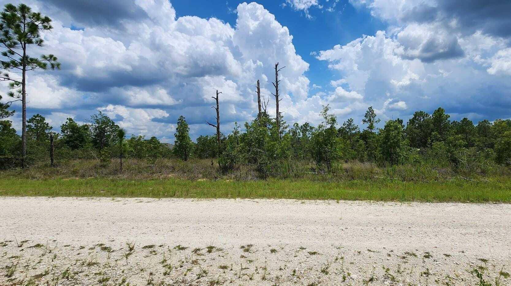 Royal Highlands in Hernando County awaits you !