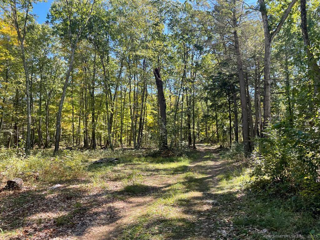 Tranquil 153 Acre Parcel Abutting Natchaug Yale Forests A Rare Opportunity in Nature's Embrace Discover a breathtaking 153 acre parcel of unspoiled land offering unmatched peace, privacy, and natural beauty.