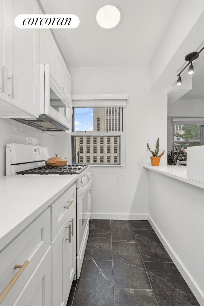 Welcome to your bright and sunny sanctuary in the heart of Downtown Brooklyn's vibrant Dumbo Heights neighborhood !