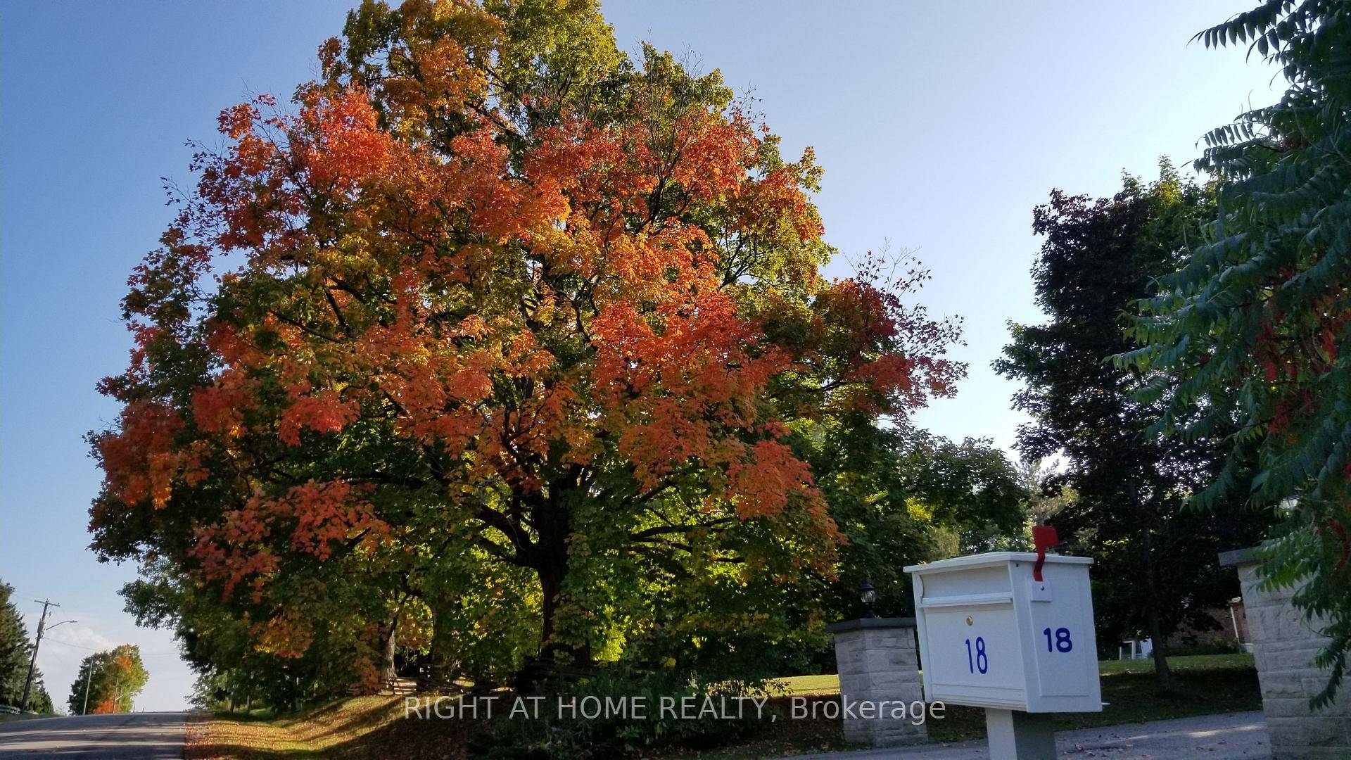 Rare find Gem One of A Kind Bungalow with Stone Front.