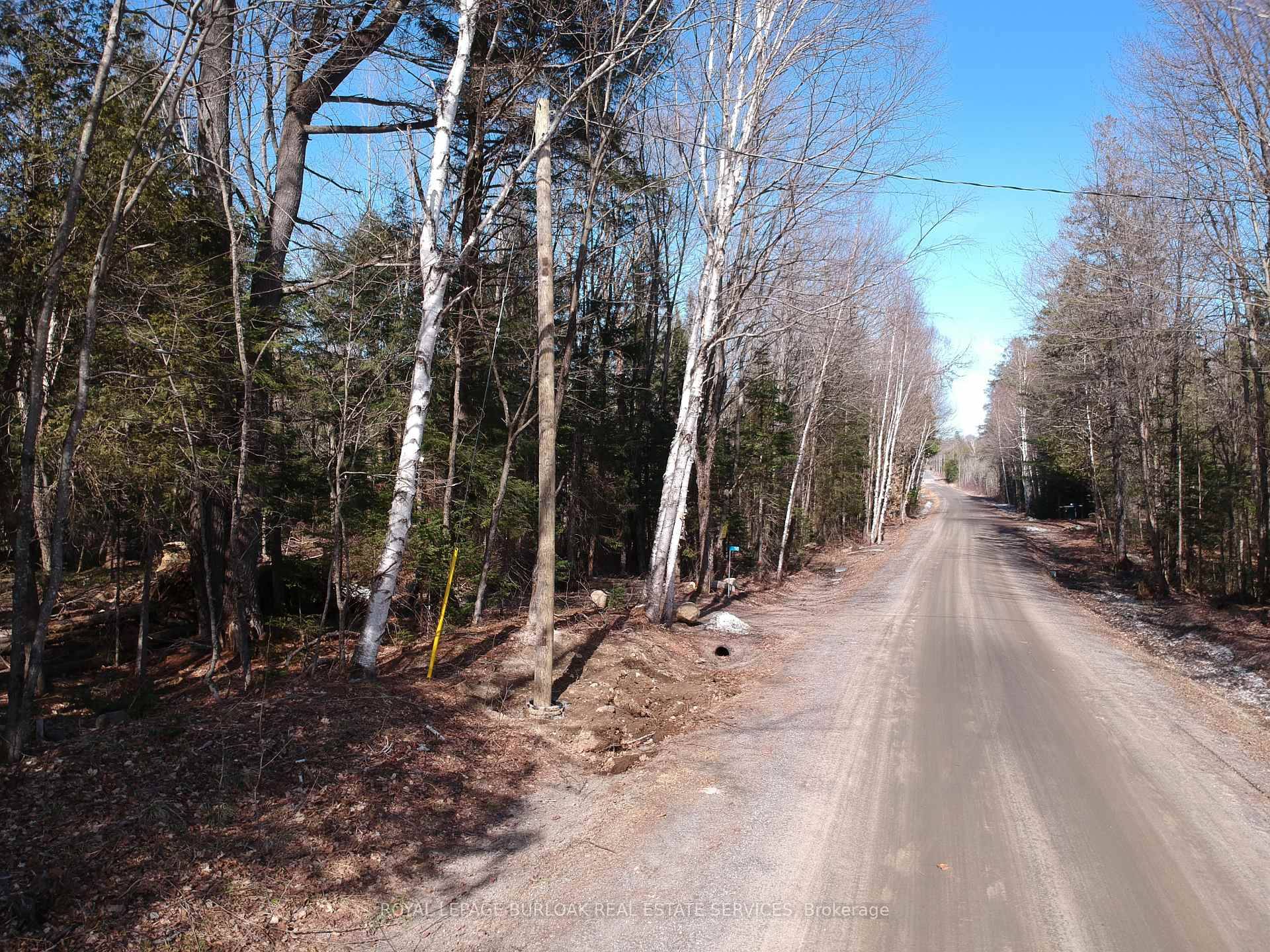 Rare Opportunity ! Discover the chance to own a stunning 5 acre lot, located on a municipally maintained year round road.