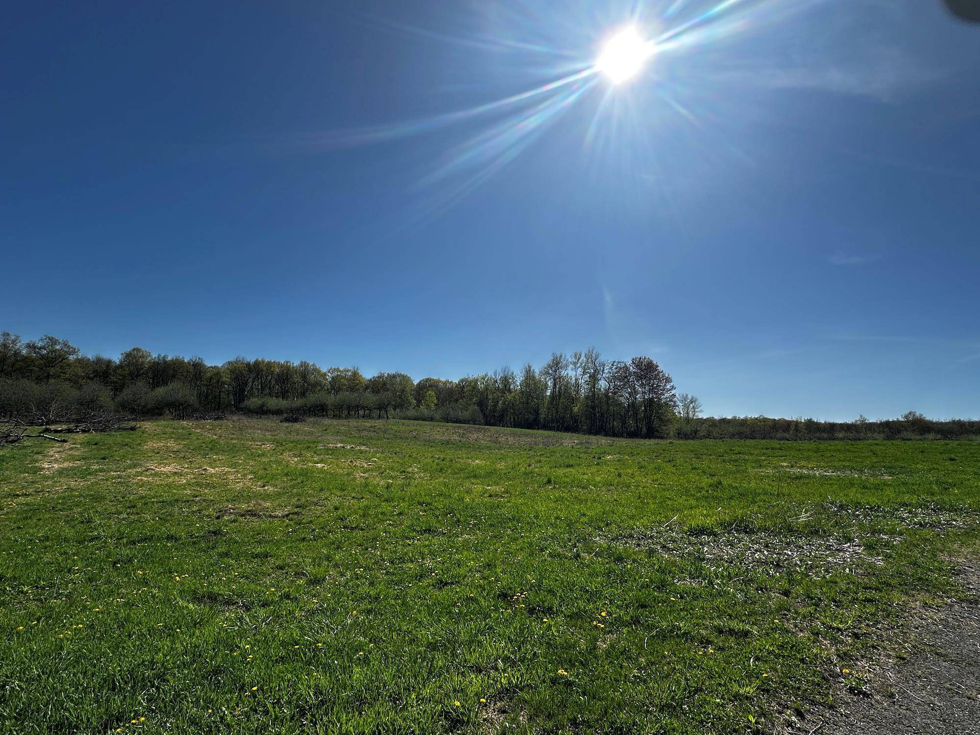 Prime Farmland with breathtaking Mountain Views.