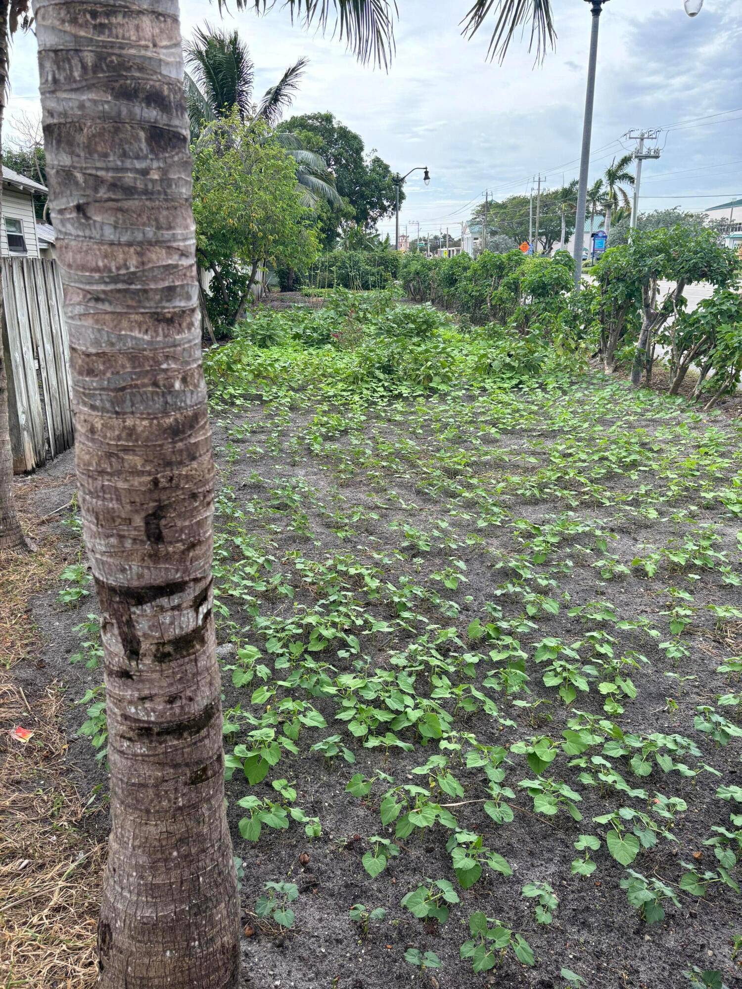 418 N Seacrest Boulevard Land Palm Beach