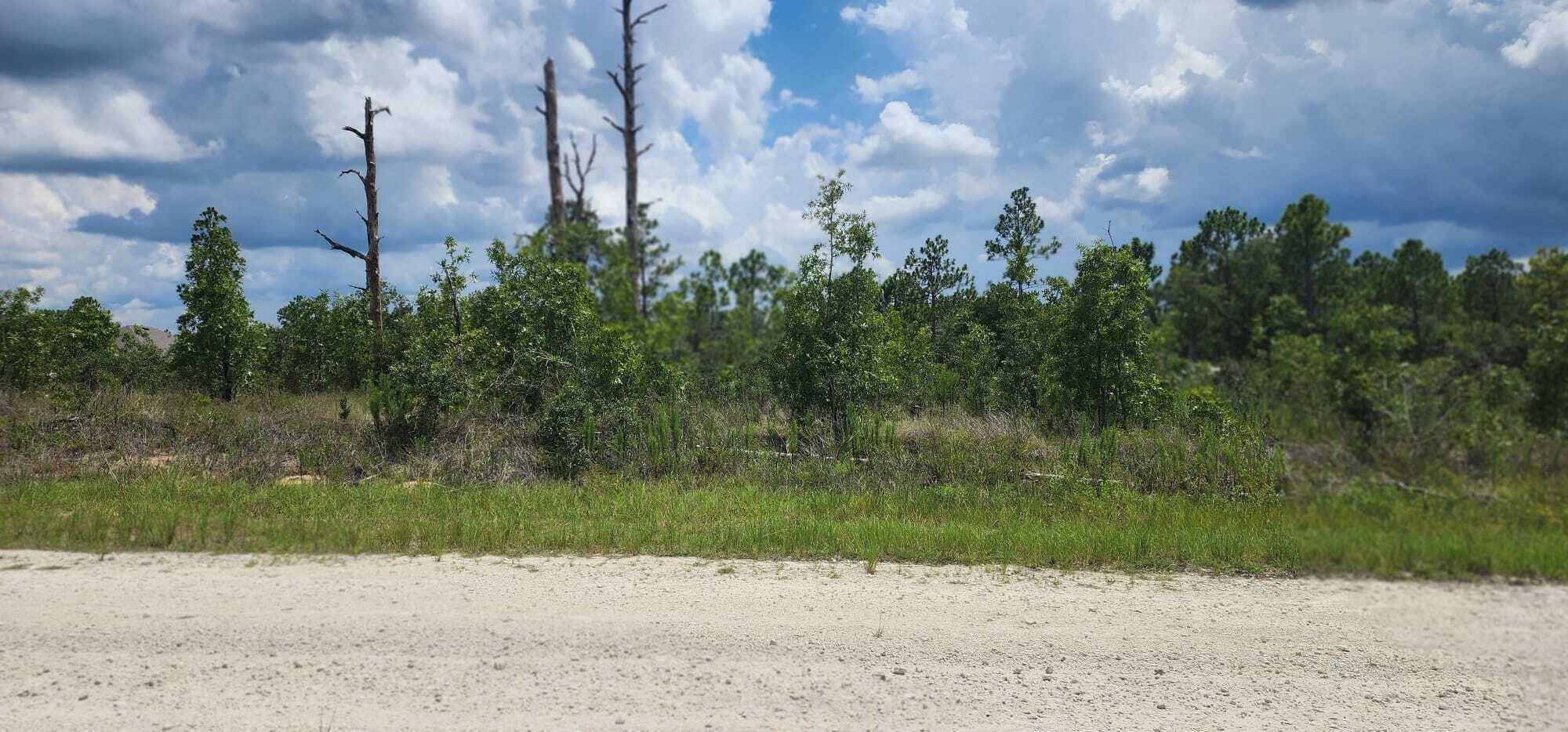Royal Highlands in Hernando County awaits you !