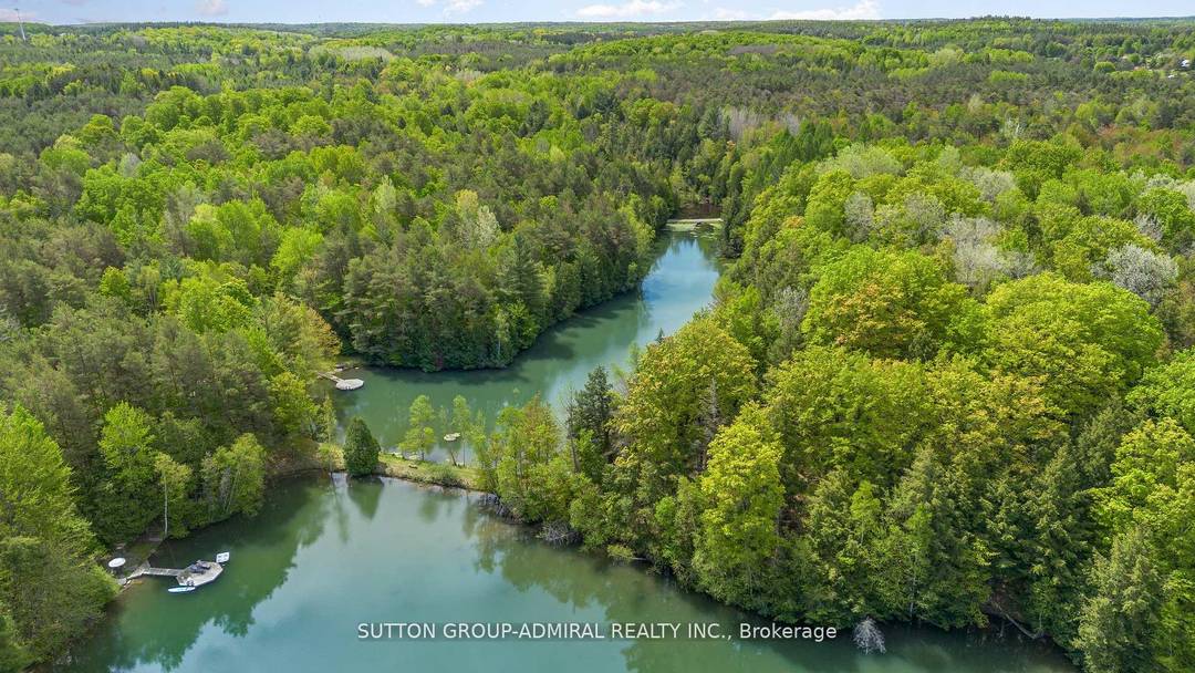 120 acres Prime Estate. Total Privacy and Pristine Forest.