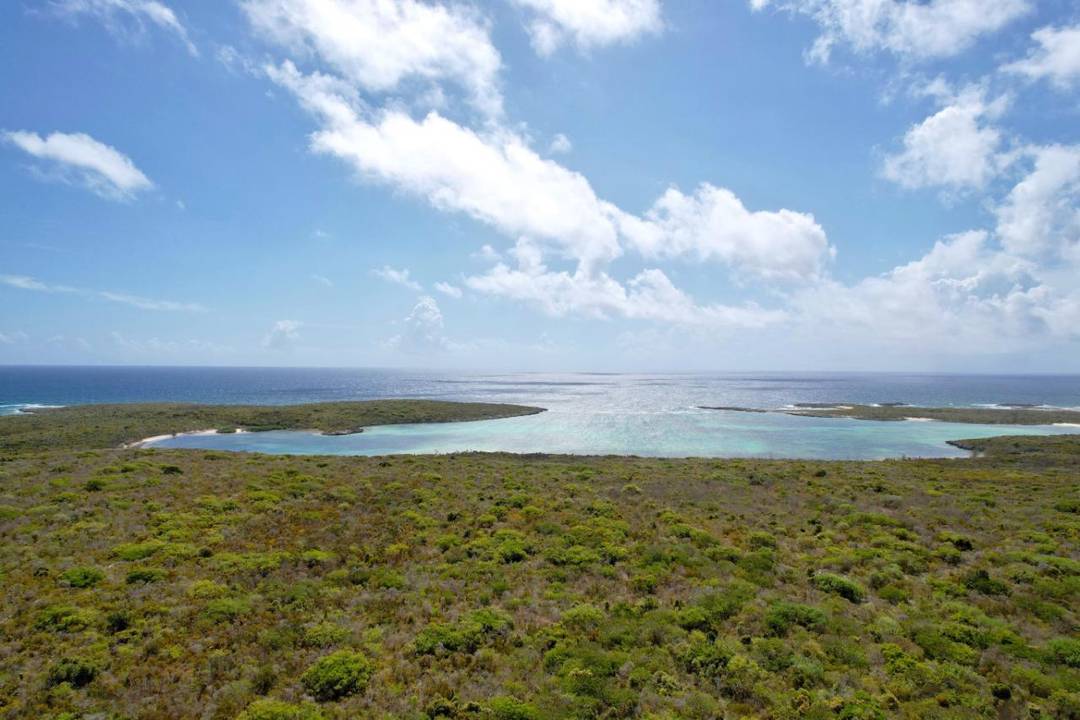 289 ACRES BURROWS HARBOUR Land Long-Island-Bahamas