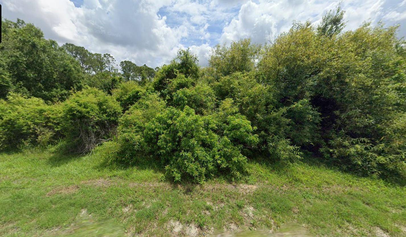 Rare opportunity to own a cleared 1.