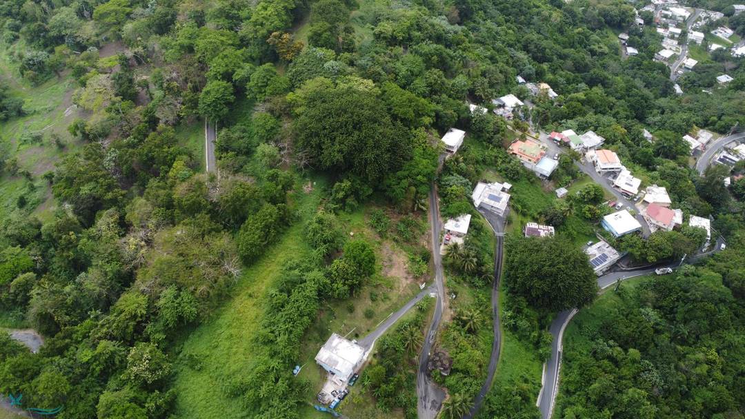 CARR 835 Land Guaynabo