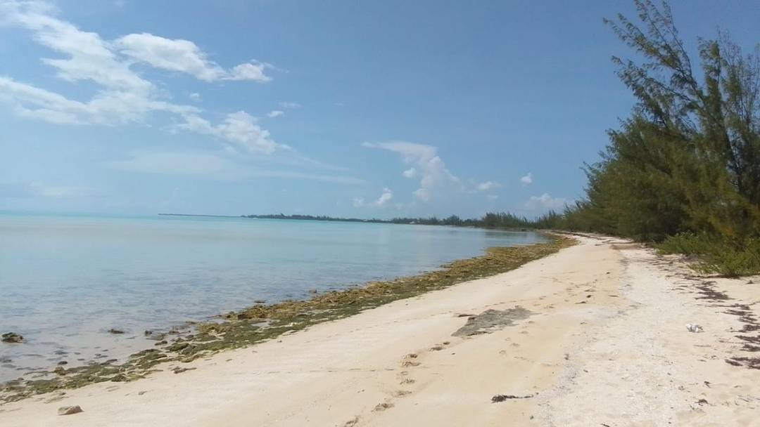 ALLIGATOR BAY Land Long-Island-Bahamas