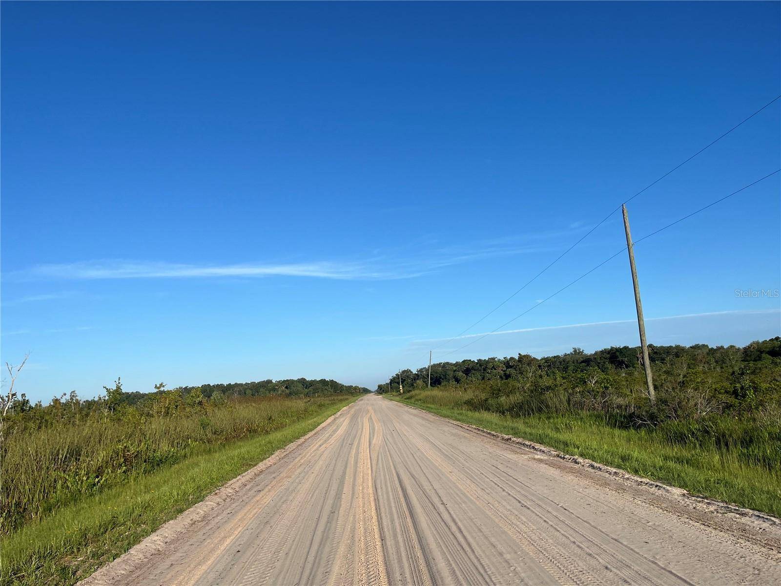 Own a piece of Florida's natural beauty with this spacious 2.