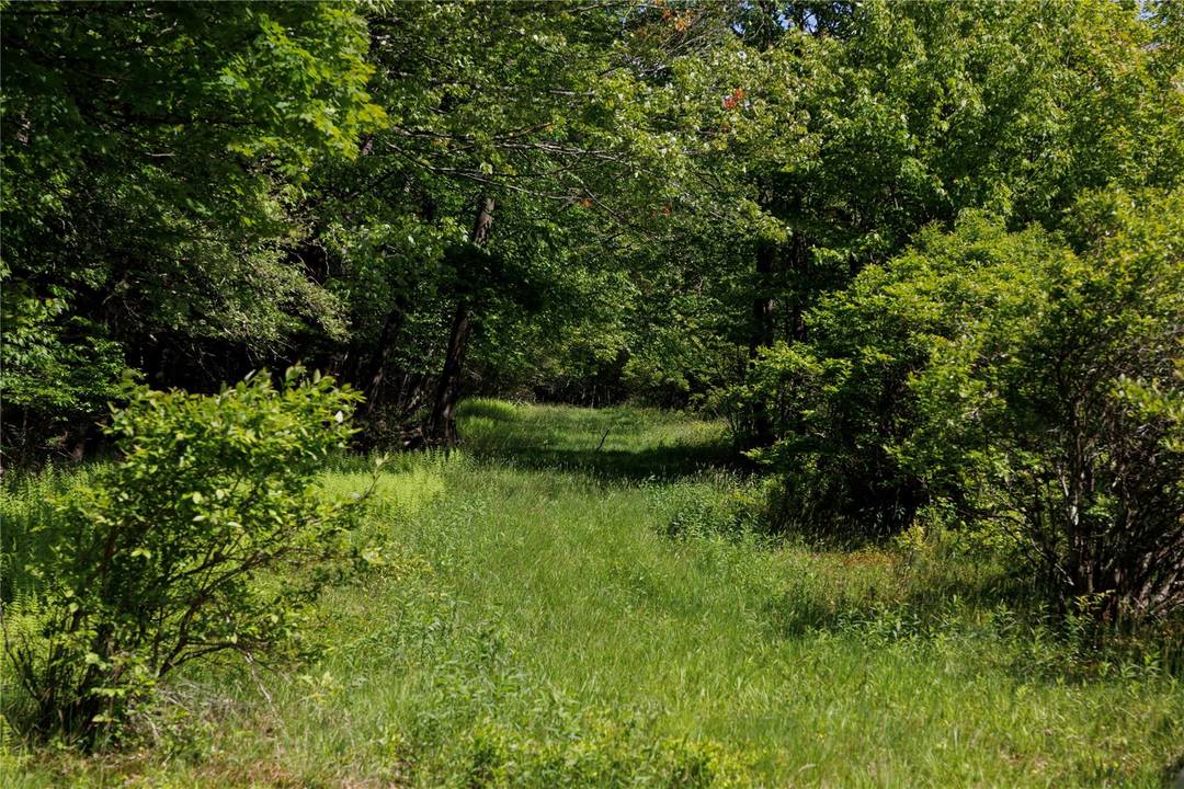 Attention Discerning and Insightful Buyers, Investors and Developers Here is a once in a lifetime opportunity to purchase one of the most amazing parcels of land to come on the ...