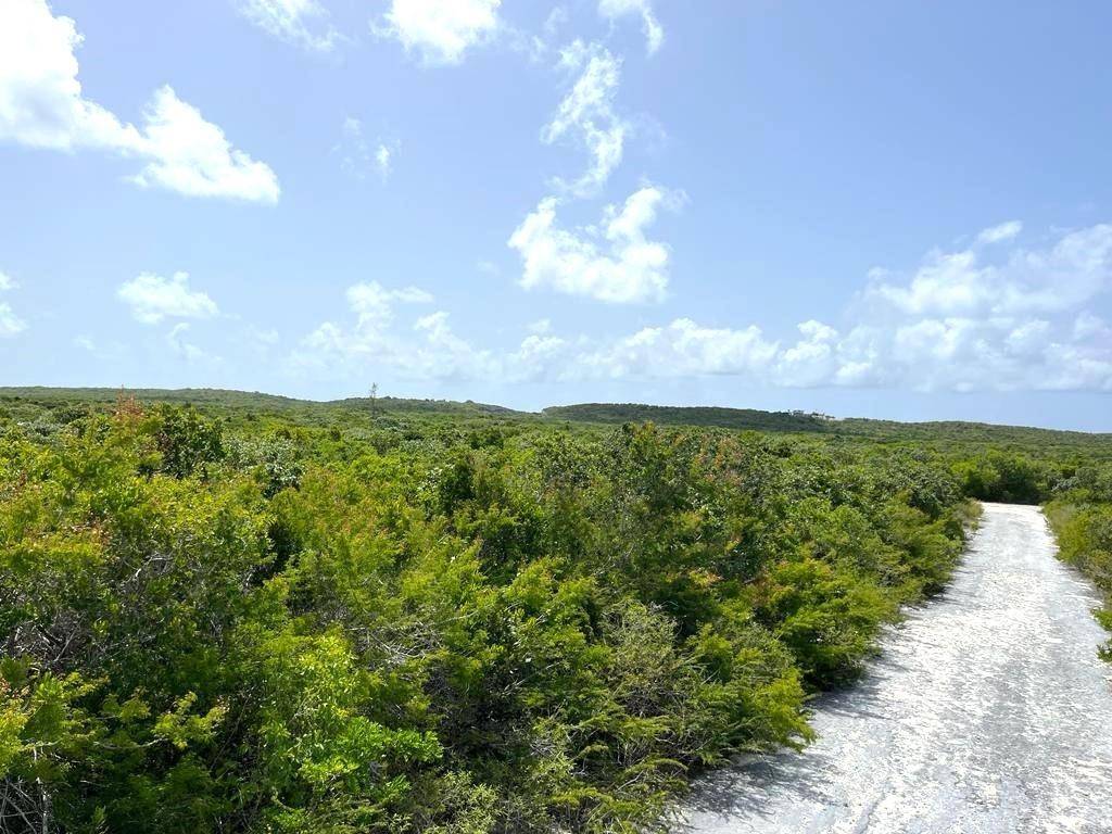 COLUMBUS LANDINGS Land San-Salvador