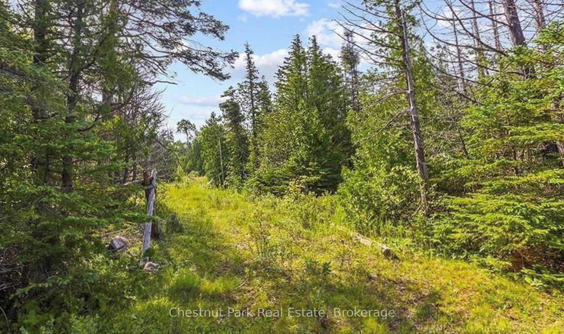 Excellent building lot on the east side of the Bruce Peninsula.