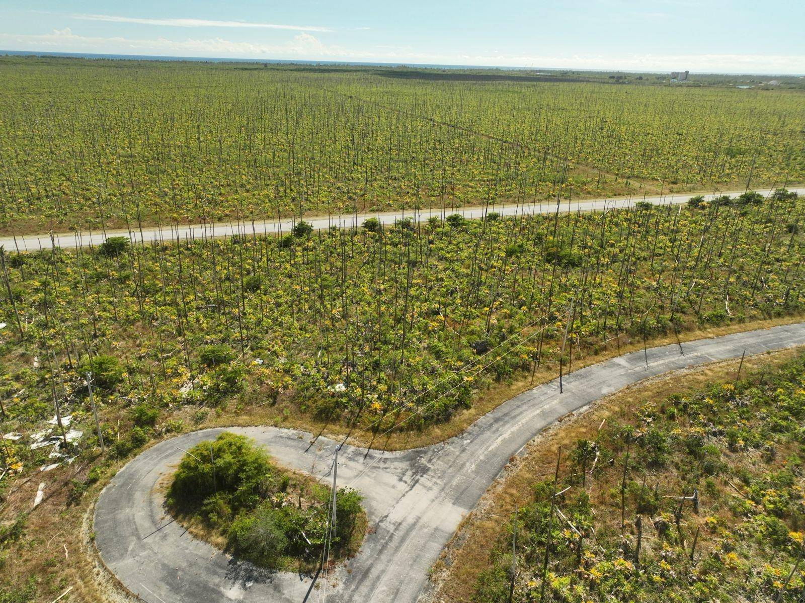 FREEPORT Land Grand-Bahama-Freeport