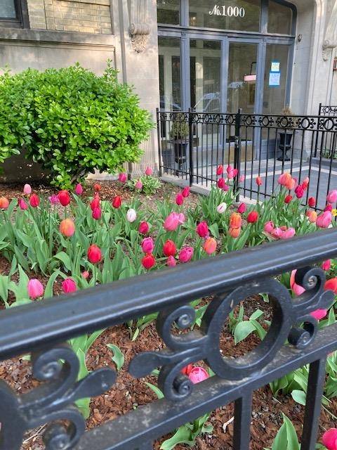 1000 HUDSON ST Condo New Jersey