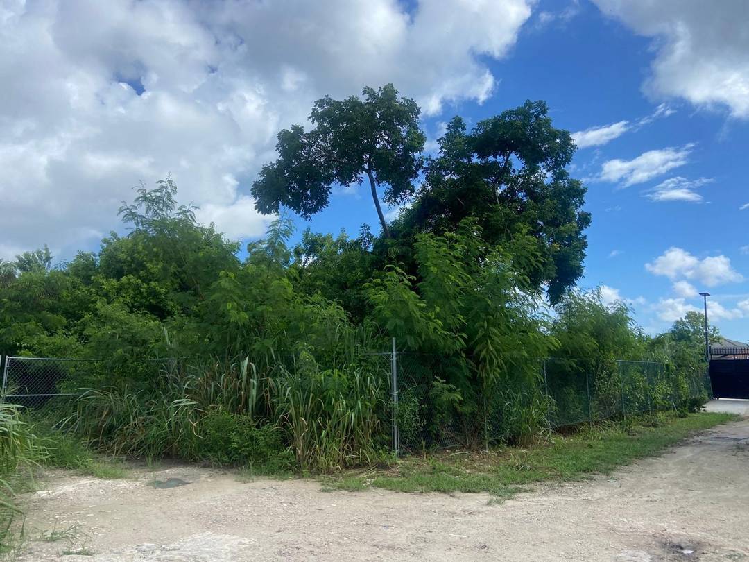 LOT ON CARROL'S WAY Land New-Providence