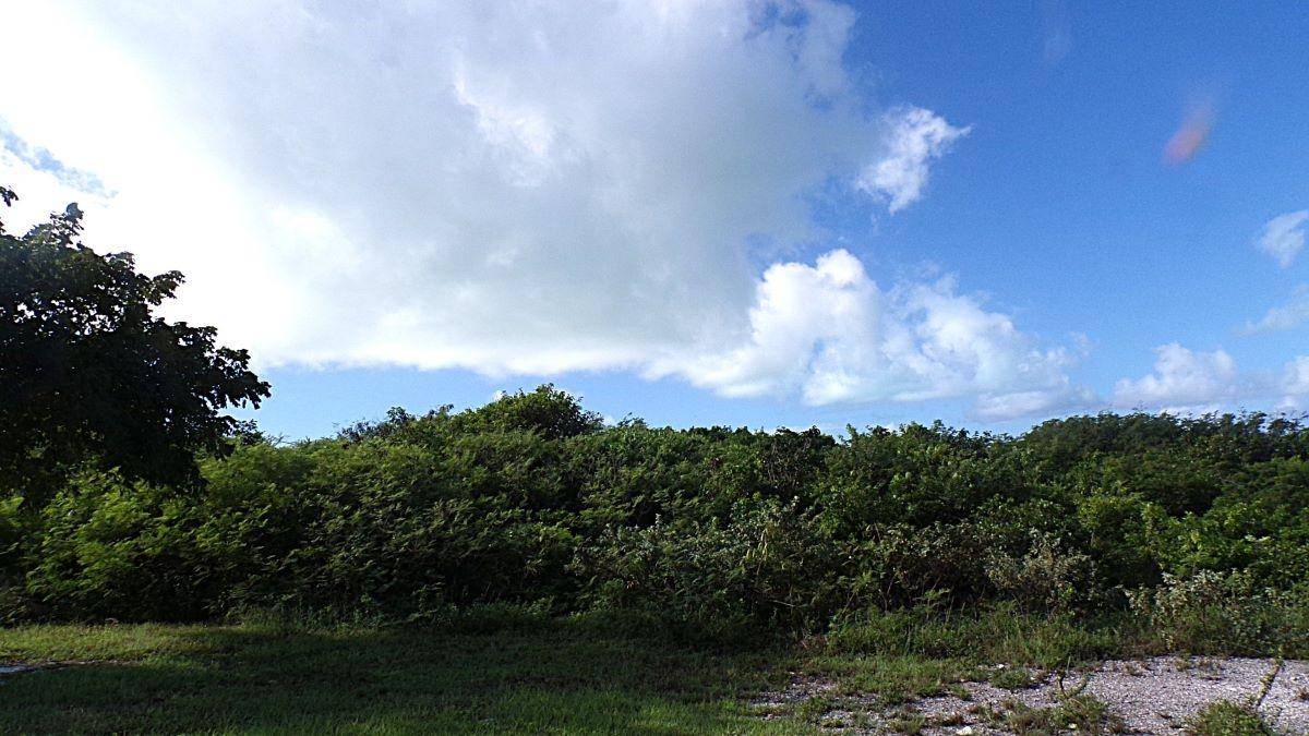 BUCKLEY'S Land Long-Island-Bahamas