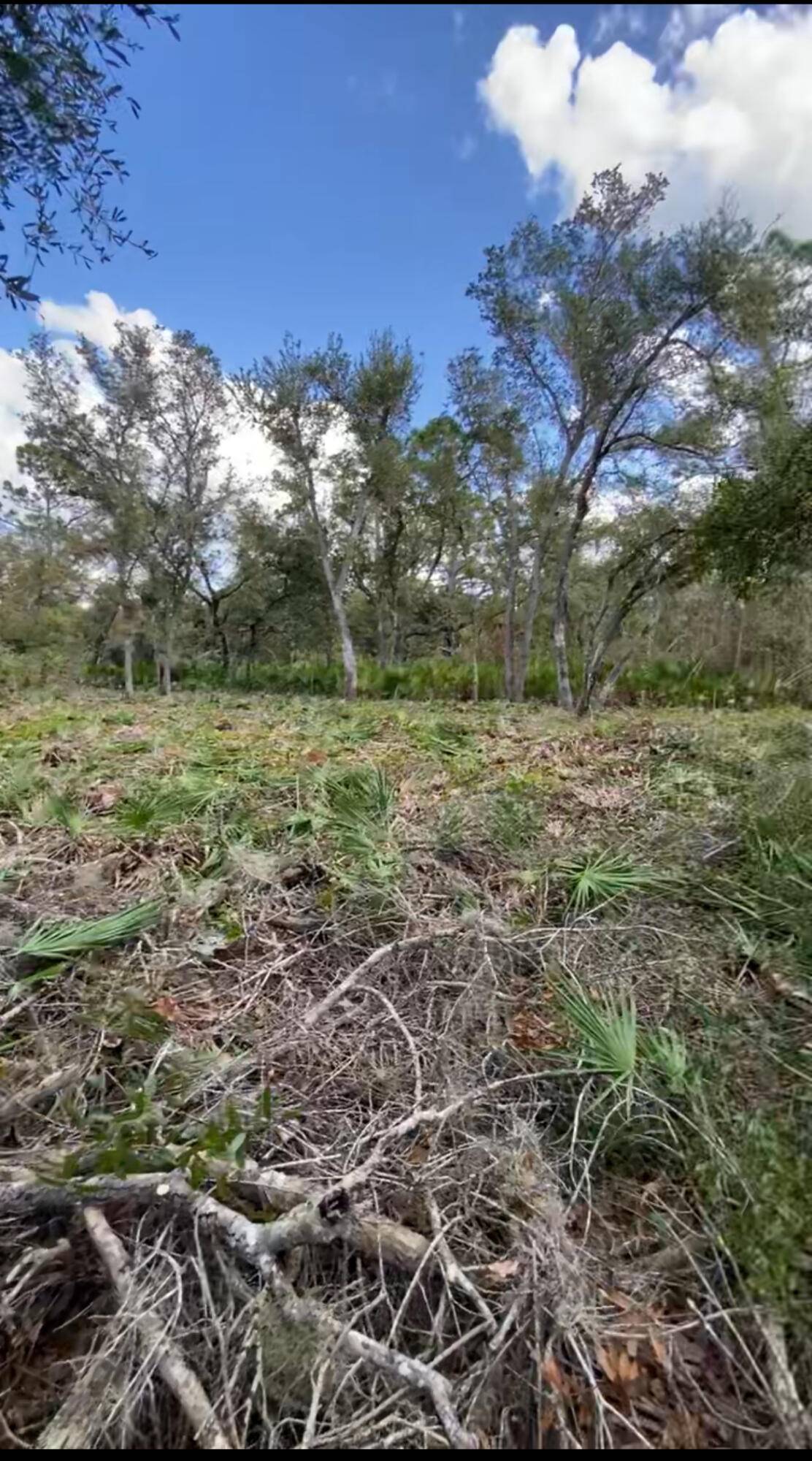 AMAZING OPPORTUNITY TO BUILD YOUR DREAM HOME.