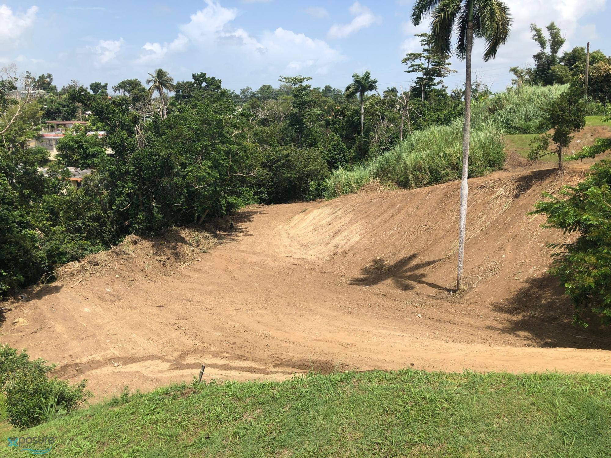 BO BUENA VISTA, CARR 167 Land Bayamon
