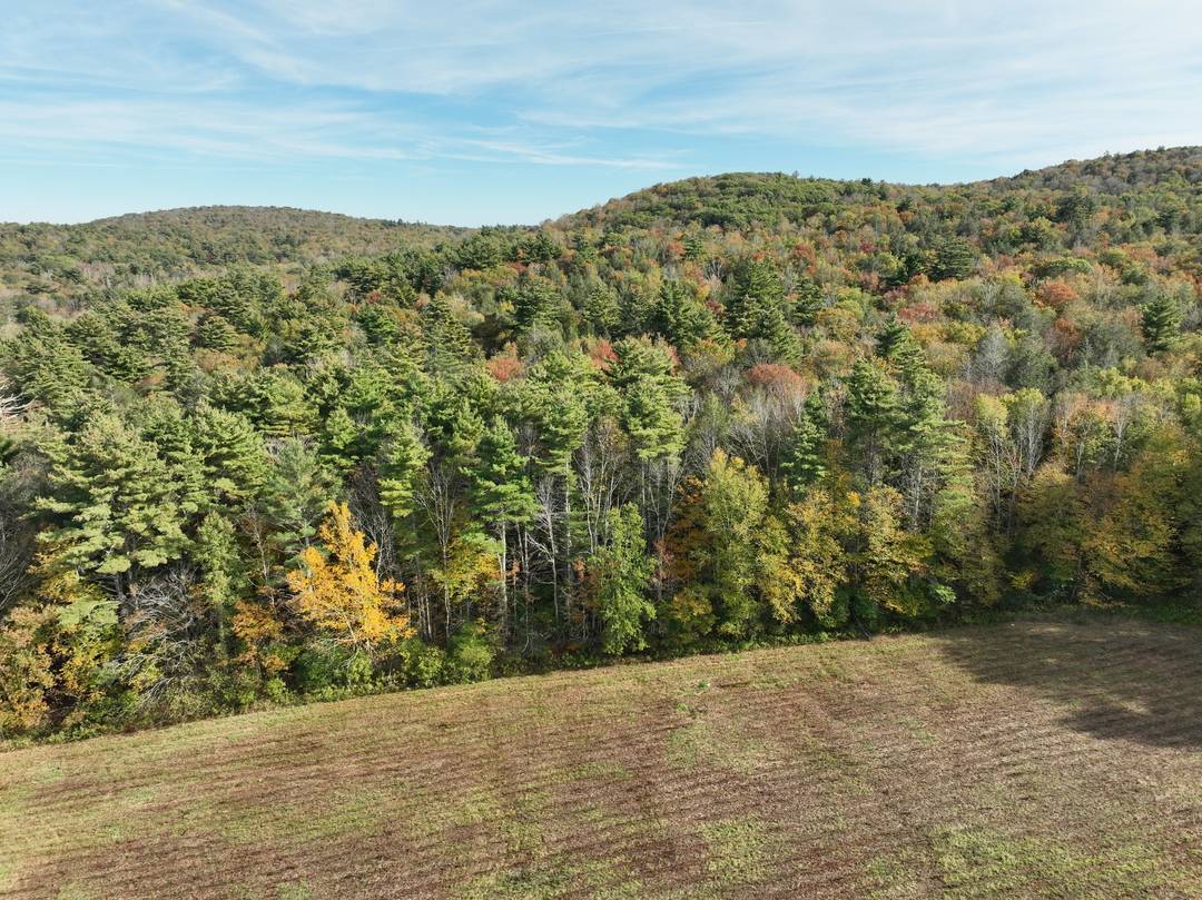 Rare Multi Parcel Land Opportunity 5 Parcels, Endless Possibilities Discover this exceptional assemblage of five contiguous parcels spanning the scenic towns of Winchester and Colebrook in Connecticut's pristine Litchfield County.