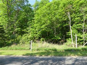 Beautiful undeveloped wooded lot with stone walls.