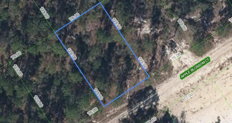 Explore the potential of this 9, 500 square foot buildable lot located in Lake Placid, FL.