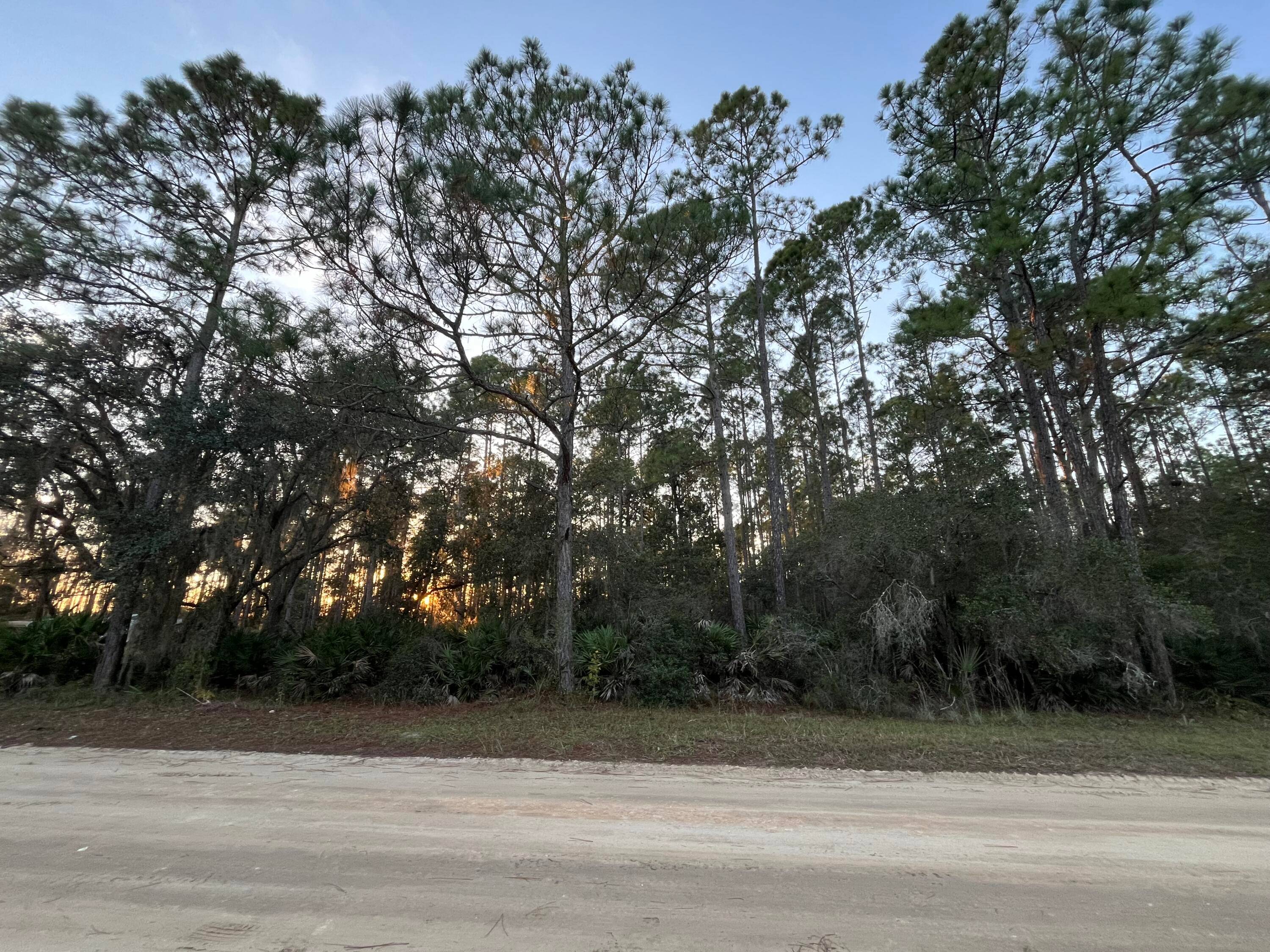 Don't Miss out on this High and dry OVERSIZED CORNER LOT recently mulched.