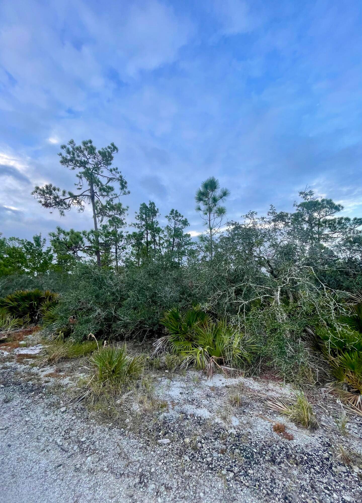 Discover the perfect spot for your dream home or investment venture on this.
