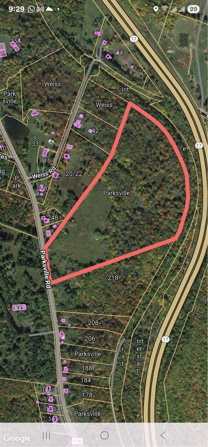 This is a nice 40 acres on a quiet road above the Village of Liberty on Parksville Road.