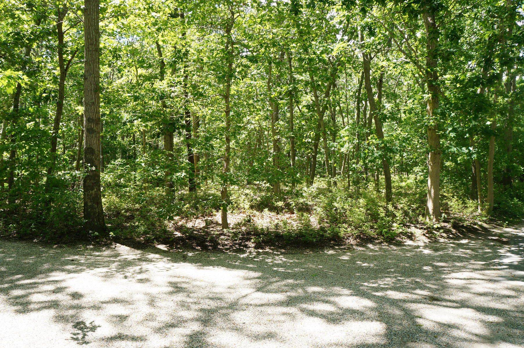 Charming Expandable Cape on 1.6 Acres in Historic Wainscott