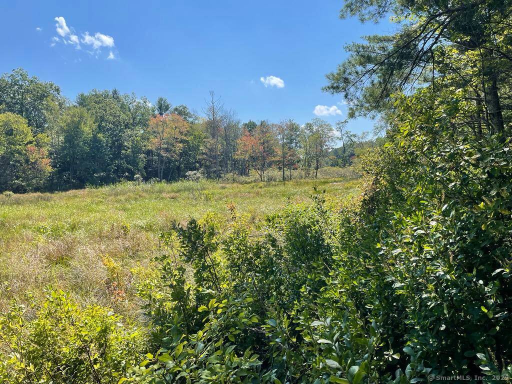 Tranquil 153 Acre Parcel Abutting Natchaug Yale Forests A Rare Opportunity in Nature's Embrace Discover a breathtaking 153 acre parcel of unspoiled land offering unmatched peace, privacy, and natural beauty.